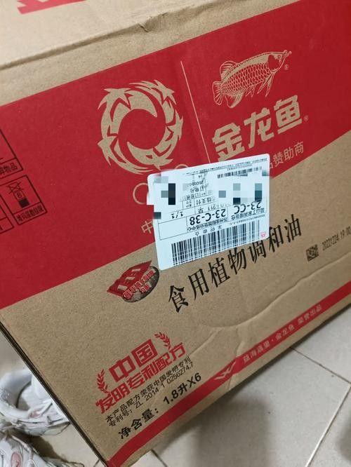 山東金龍魚是雜牌子魚嗎（山東金龍魚是雜牌子魚嗎山東金龍魚是雜牌子魚嗎）
