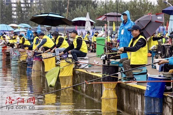 嵩縣哪個(gè)水族館龍魚好？祥龍魚場(chǎng)龍魚 嵩縣哪個(gè)水族館龍魚好？祥龍魚場(chǎng)龍魚 龍魚百科 第8張