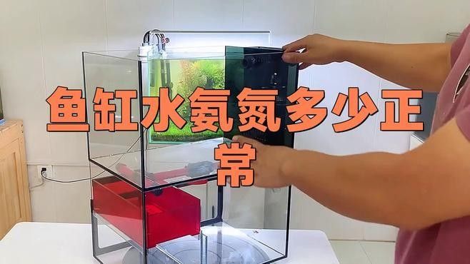 紅龍魚趴缸會死嗎？