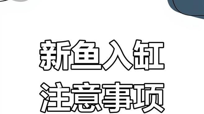 如何逐步將新魚(yú)引入龍魚(yú)缸？
