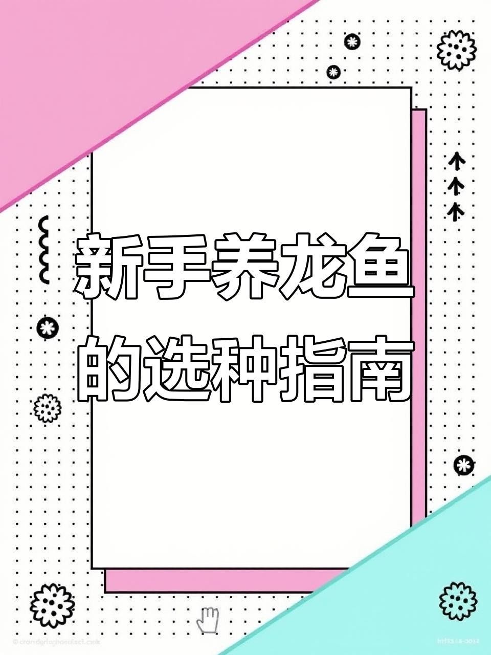 新手養龍魚要買什么魚（新手養龍魚需要準備哪些設備？） 新手養龍魚要買什么魚（新手養龍魚需要準備哪些設備？） 觀賞魚百科 第1張