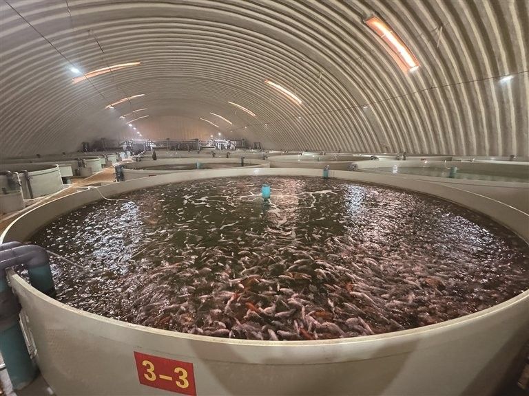 昌吉回族自治州還有哪些龍魚養殖基地（昌吉回族自治州有哪些龍魚養殖基地？）