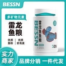 雷龍魚吃什么飼料最好 雷龍魚吃什么飼料最好 龍魚百科 第13張