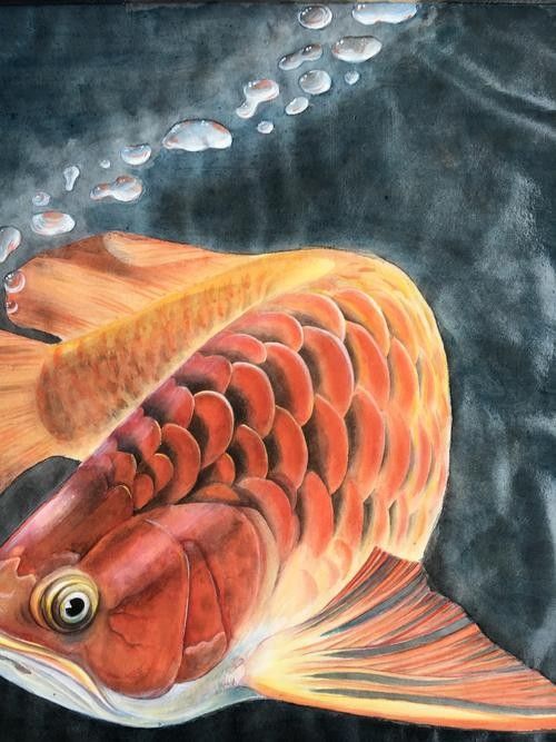 哪里可以找到中國(guó)風(fēng)龍魚(yú)插畫(huà)（中國(guó)風(fēng)龍魚(yú)插畫(huà)可以通過(guò)以下幾種途徑獲取更多定制化資源）