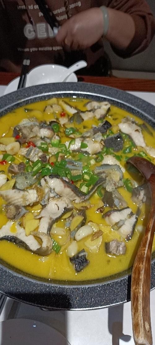能提供更多鱘龍魚的圖片嗎