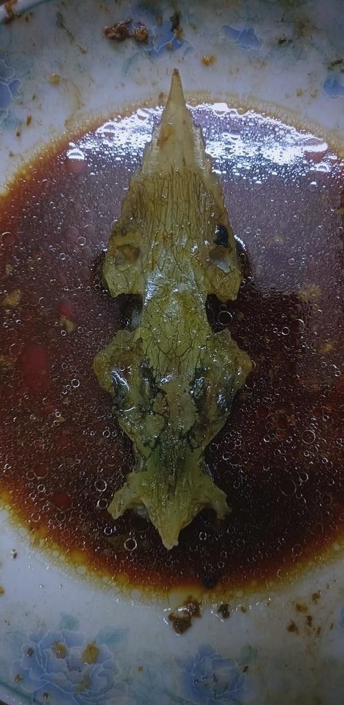 能提供更多鱘龍魚的圖片嗎