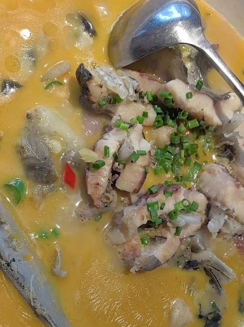 能提供更多鱘龍魚的圖片嗎