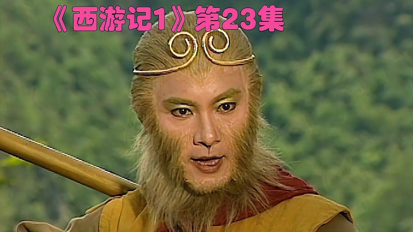 東海小白龍常見的疾病有哪些？