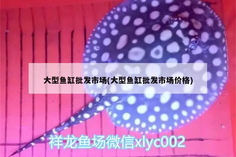 大型魚缸批發(fā)市場(大型魚缸批發(fā)市場價格)