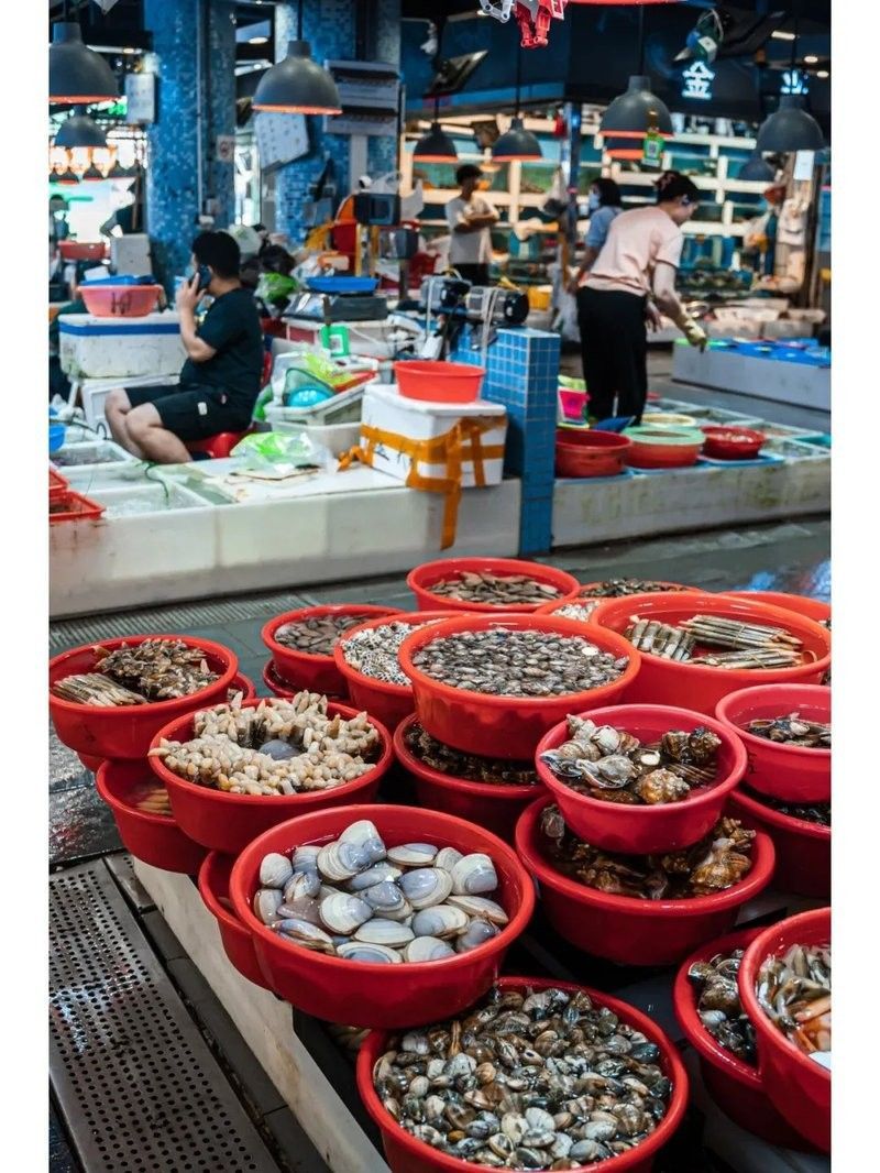 羅芳市場哪個檔口賣龍魚？（廣州羅芳市場哪個檔口賣龍魚）