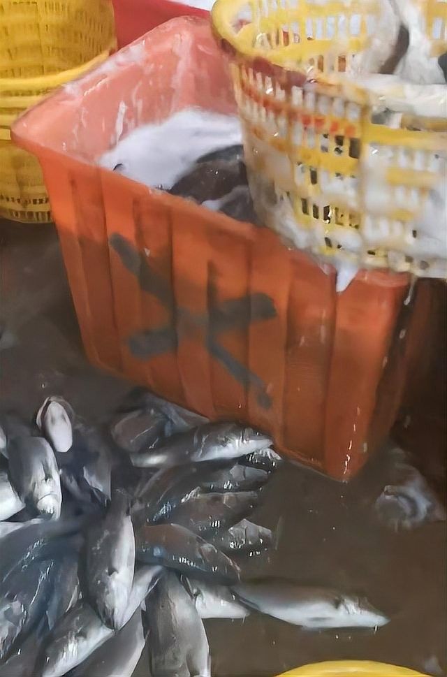 水產市場“麻醉魚”調查（水產市場“麻醉魚”調查,網友:安全性如何）