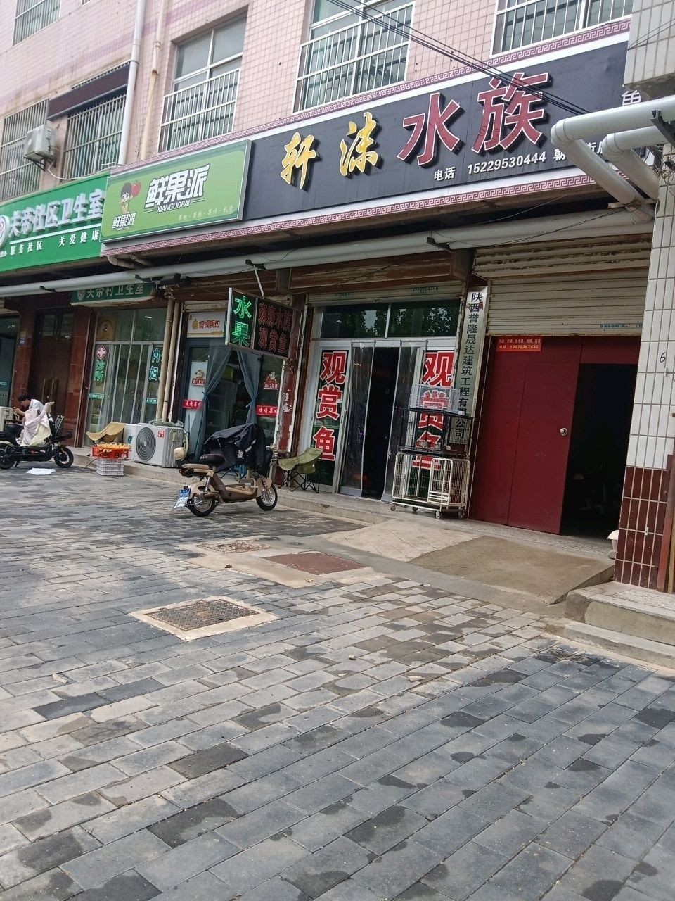蒲城哪個水族館龍魚好？祥龍魚場龍魚（蒲城哪個水族館的龍魚品質(zhì)最佳）