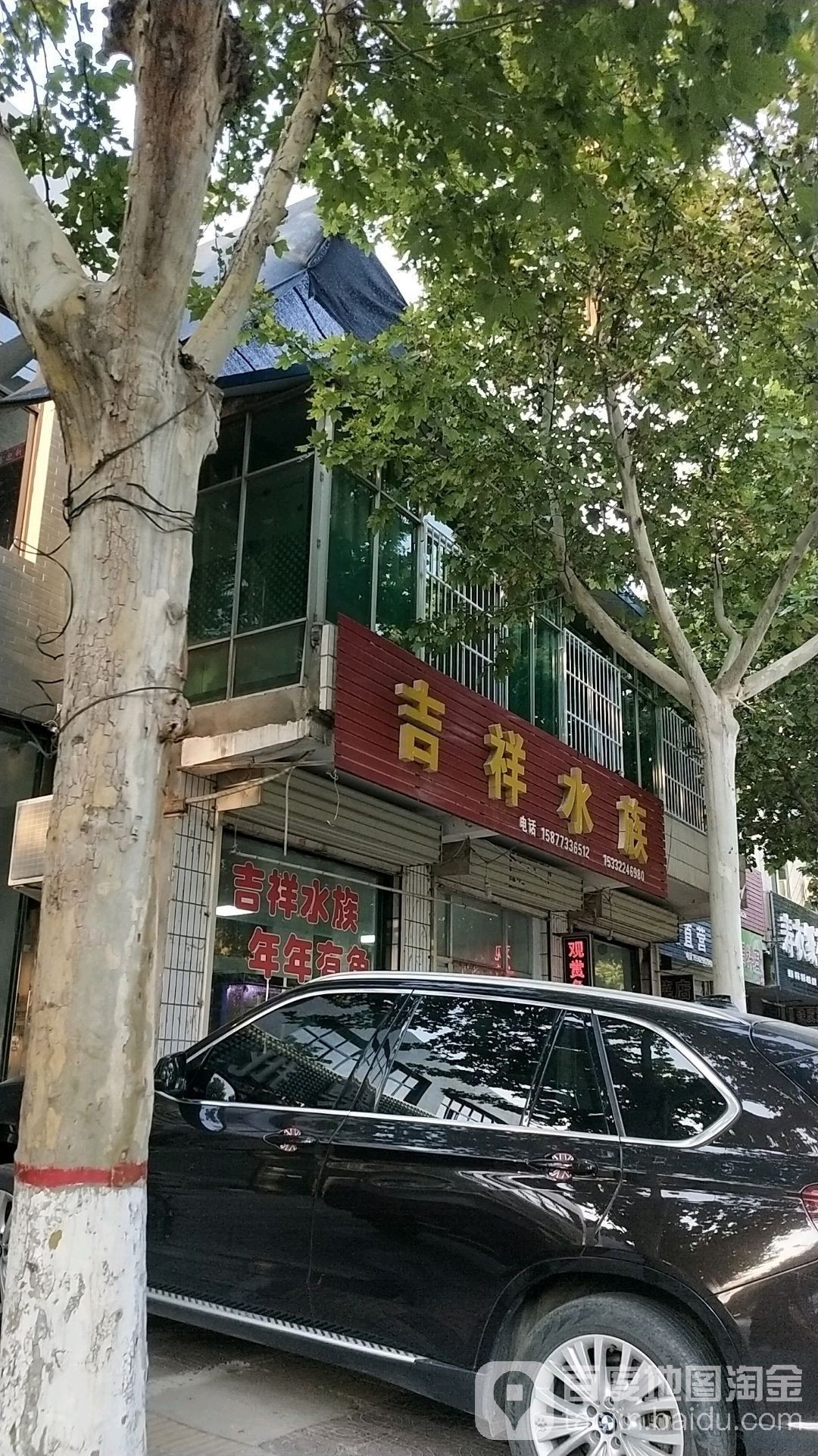 蒲城哪個水族館龍魚好？祥龍魚場龍魚（蒲城哪個水族館的龍魚品質(zhì)最佳）