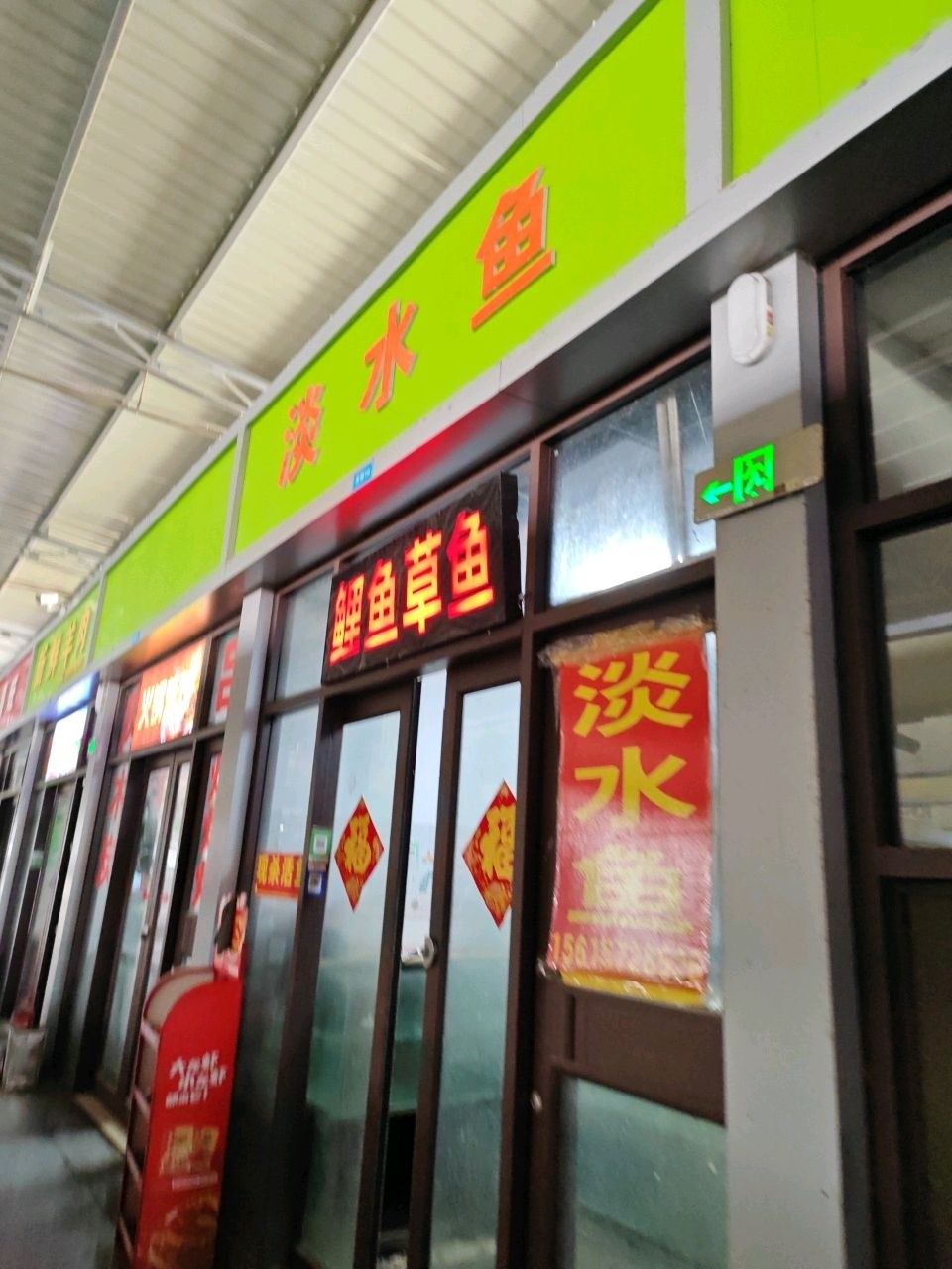 膠州淡水魚 膠州淡水魚 觀賞魚百科 第1張
