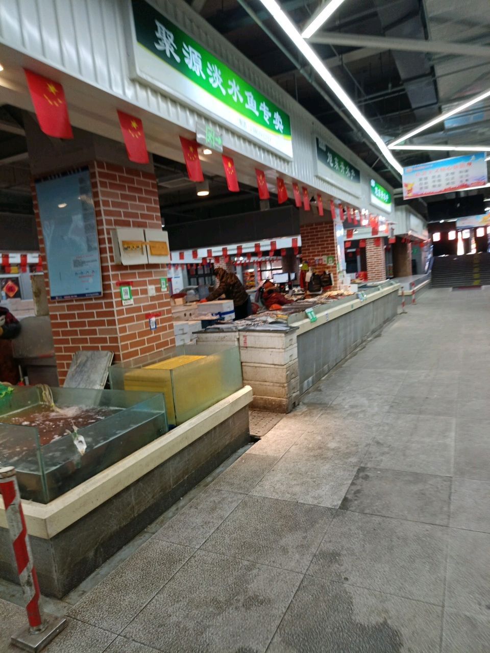 膠州淡水魚 膠州淡水魚 觀賞魚百科 第3張
