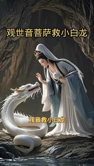 東海小白龍的價格是多少？