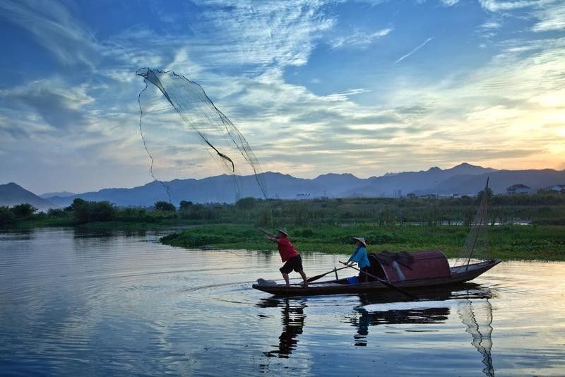 如何找到高清大圖的龍魚背景（如何判斷龍魚背景圖是否高清）