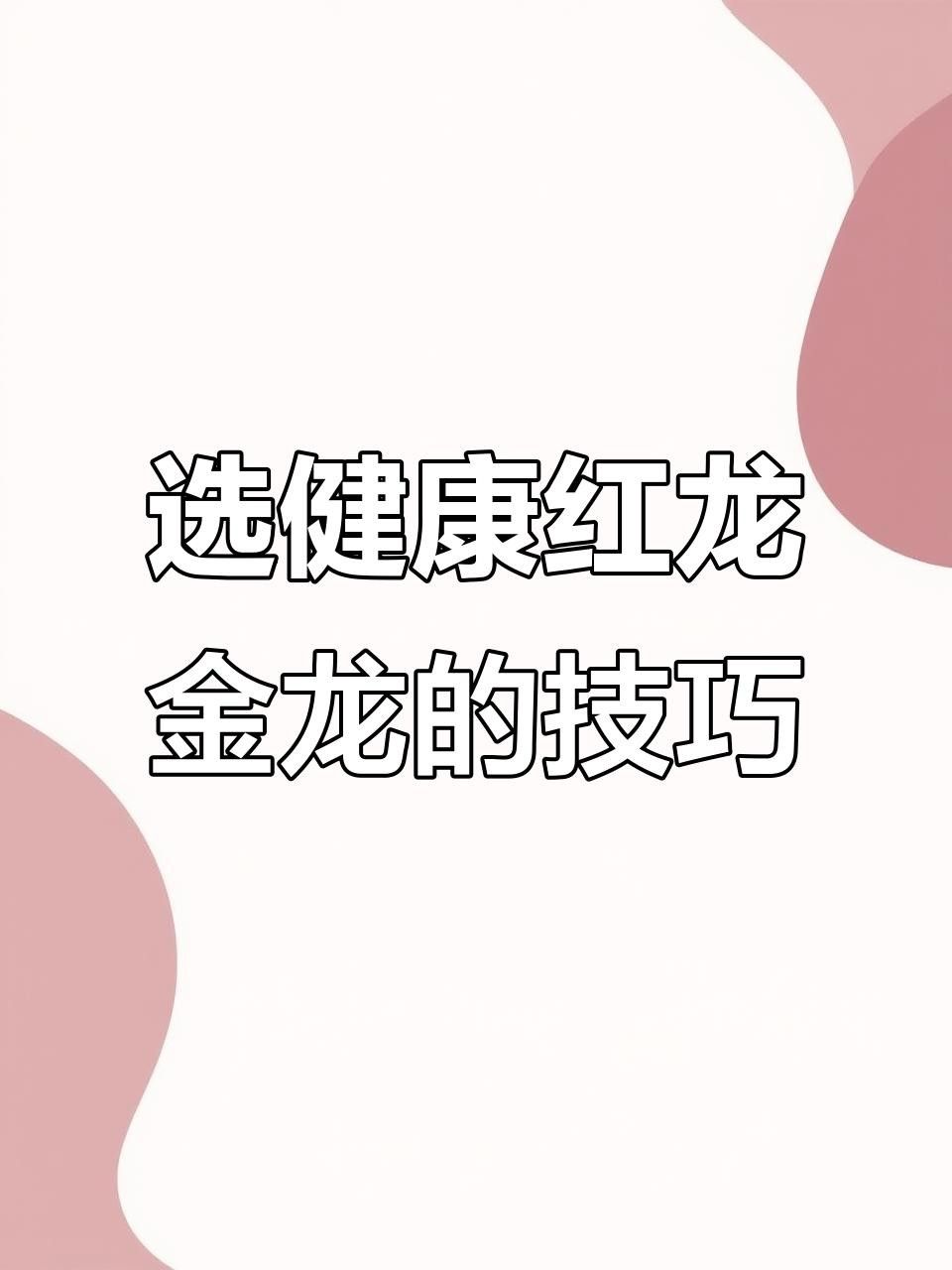 屯溪紅龍魚