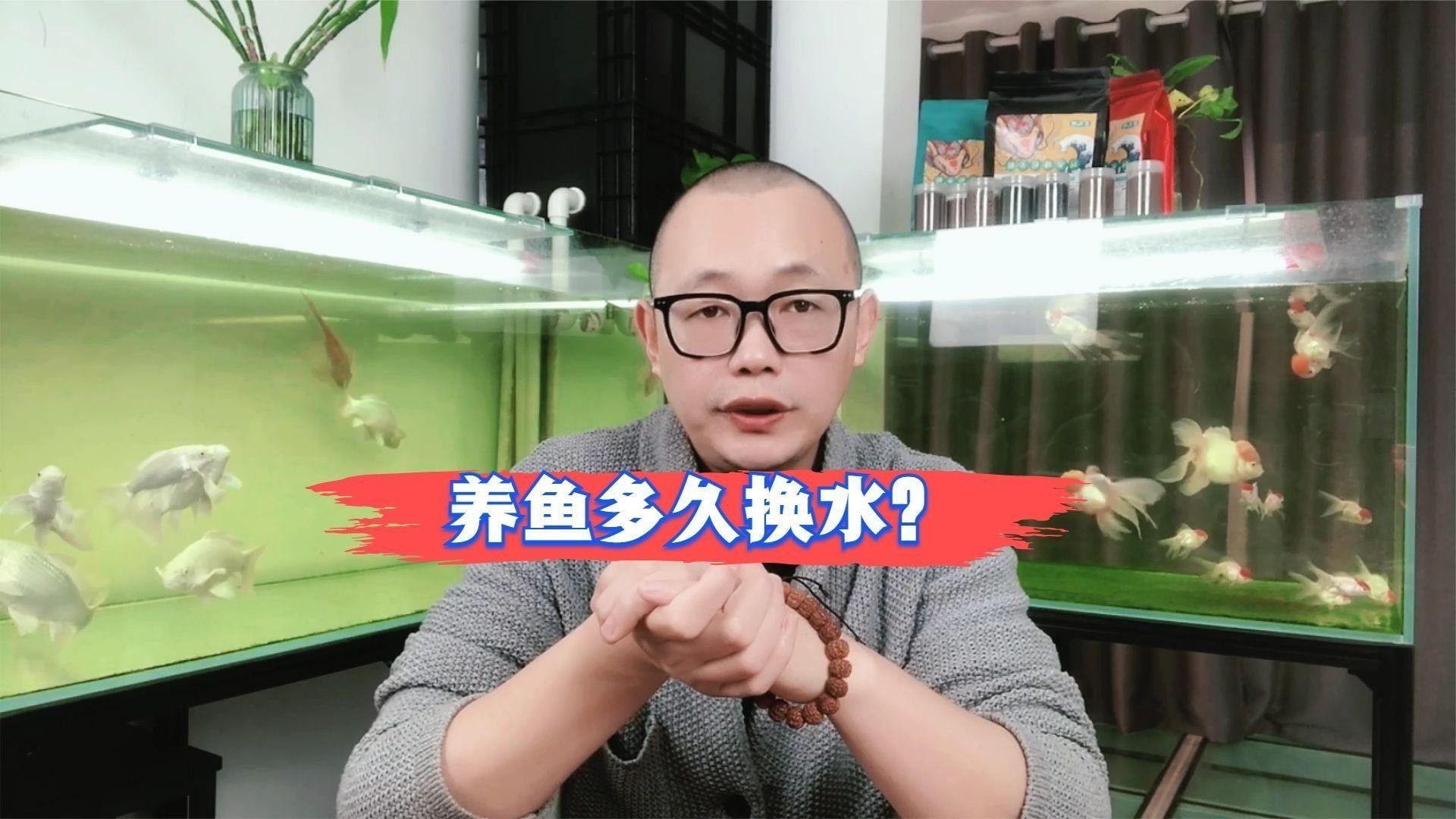 如何判斷何時需要換水（如何判斷是否需要更換魚缸中的水）