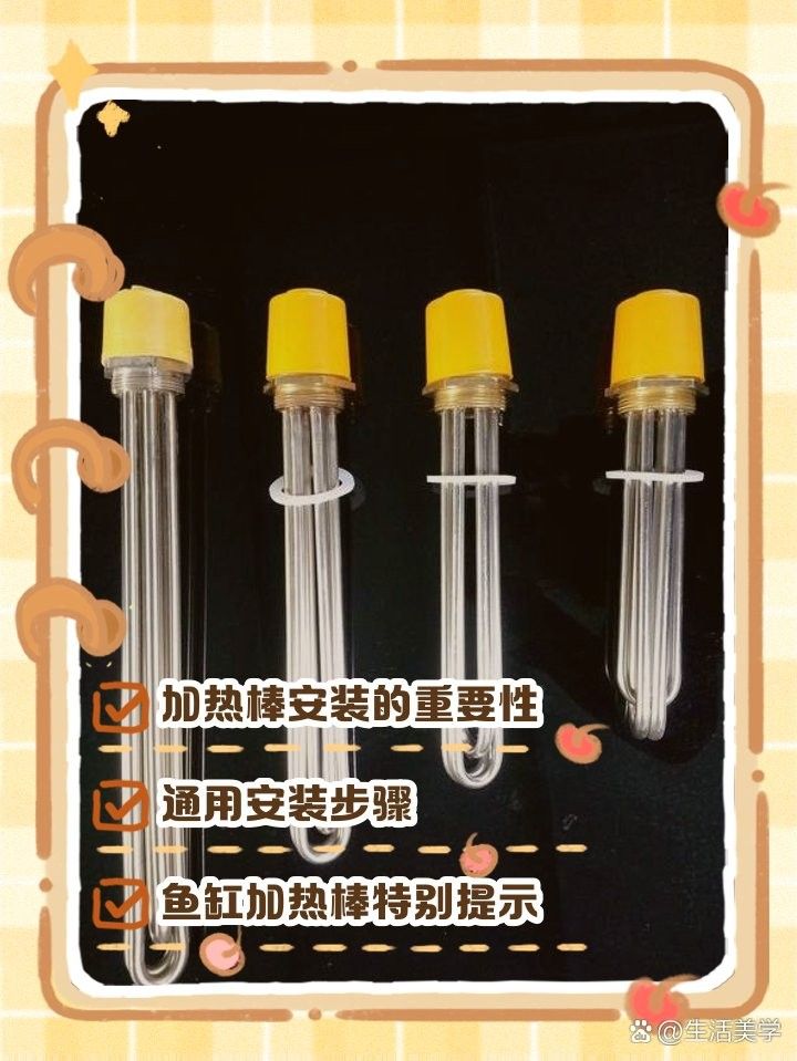 如何安裝金龍魚的加熱器？（金龍魚加熱器安裝與使用指南）