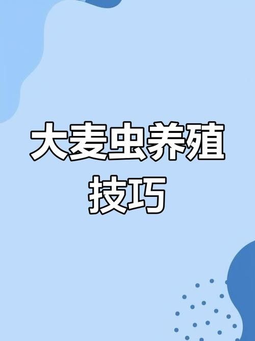 大麥蟲的飼養(yǎng)環(huán)境要求（大麥蟲的飼養(yǎng)和繁殖技術）