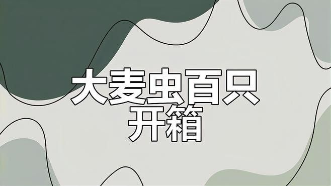 大麥蟲的飼養(yǎng)環(huán)境要求（大麥蟲的飼養(yǎng)和繁殖技術）