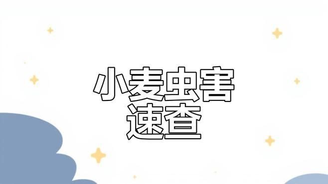 大麥蟲的飼養(yǎng)環(huán)境要求（大麥蟲的飼養(yǎng)和繁殖技術）