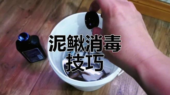 如何消毒紅蟲和泥鰍？（養魚小知識:紅線蟲怎么消毒） 如何消毒紅蟲和泥鰍？（養魚小知識:紅線蟲怎么消毒） 龍魚百科 第3張