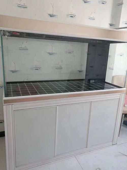 龍魚魚缸哪個品牌好一點的(龍魚魚缸品牌排行榜,龍魚魚缸品牌top10權威榜單) 觀賞魚百科 第6張 龍魚魚缸哪個品牌好一點的(龍魚魚缸品牌排行榜,龍魚魚缸品牌top10權威榜單) 龍魚魚缸哪個品牌好一點的(龍魚魚缸品牌排行榜,龍魚魚缸品牌top10權威榜單) 觀賞魚百科 第6張