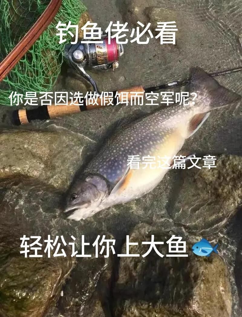 飛蠅假餌適合哪些魚種？（飛蠅假餌如何制作，飛蠅釣法適合什么魚）
