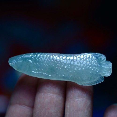 翡翠綠金龍魚的市場評價（翡翠綠金龍魚市場呈現兩極分化） 翡翠綠金龍魚的市場評價（翡翠綠金龍魚市場呈現兩極分化） 龍魚百科 第9張