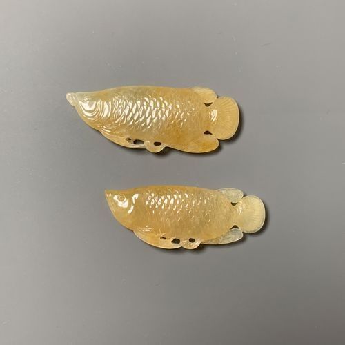 翡翠綠金龍魚的市場評價（翡翠綠金龍魚市場呈現兩極分化） 翡翠綠金龍魚的市場評價（翡翠綠金龍魚市場呈現兩極分化） 龍魚百科 第11張