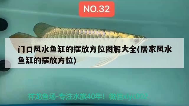 門口風水魚缸的擺放方位圖解大全(居家風水魚缸的擺放方位)