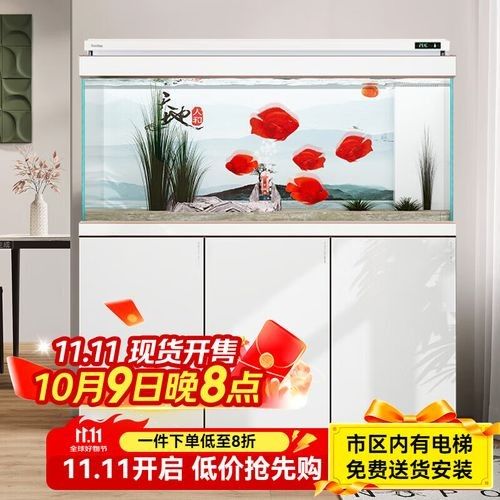 養龍魚哪個牌子魚缸好（養龍魚缸品牌排行榜，養龍魚缸品牌排行榜京東平臺上熱銷）