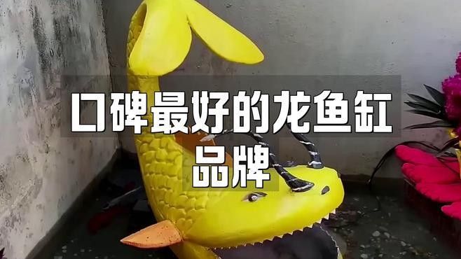 養龍魚哪個牌子魚缸好（養龍魚缸品牌排行榜，養龍魚缸品牌排行榜京東平臺上熱銷）
