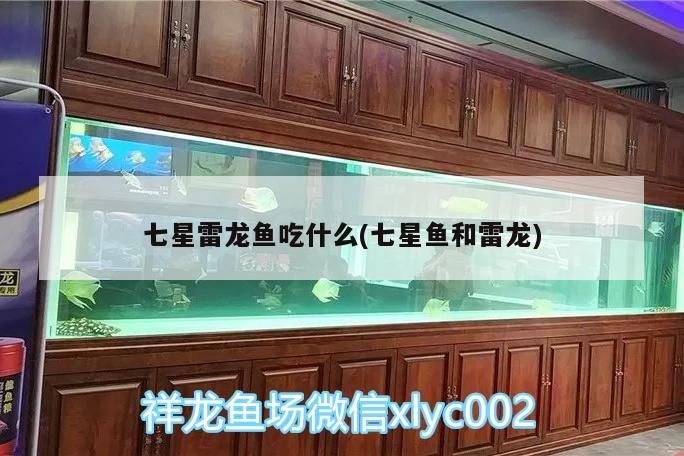 七星雷龍魚吃什么(七星魚和雷龍)（七星雷龍魚吃什么，雷龍魚吃什么）