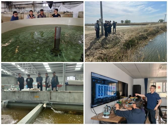 如何聯系烏魯木齊龍魚養殖基地（烏魯木齊龍魚養殖基地怎么聯系？）