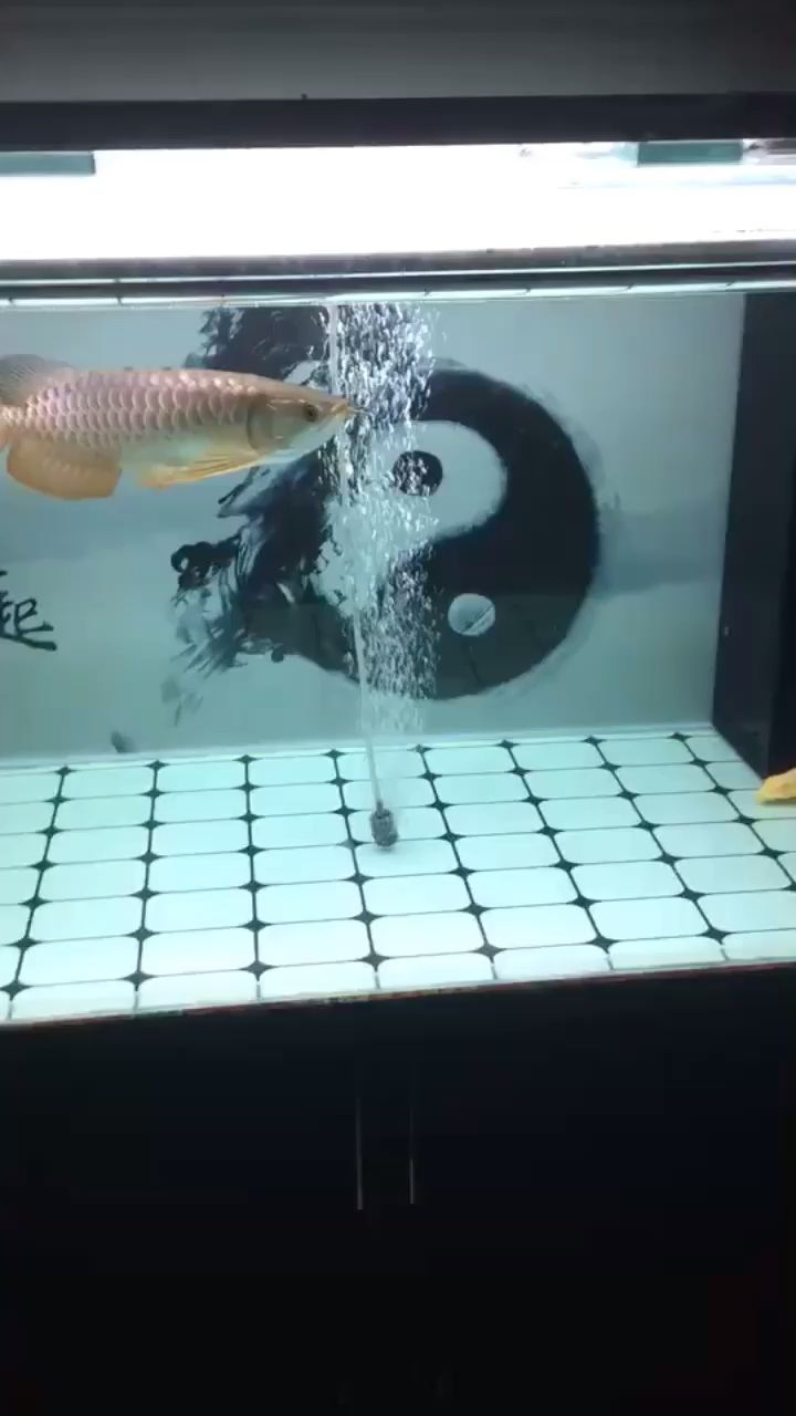 差點(diǎn)嗝屁！（在一個(gè)神秘的島嶼上）