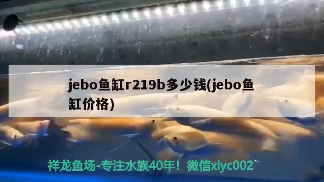 jebo魚(yú)缸r219b多少錢(jebo魚(yú)缸價(jià)格)（jebo魚(yú)缸r219b多少錢）