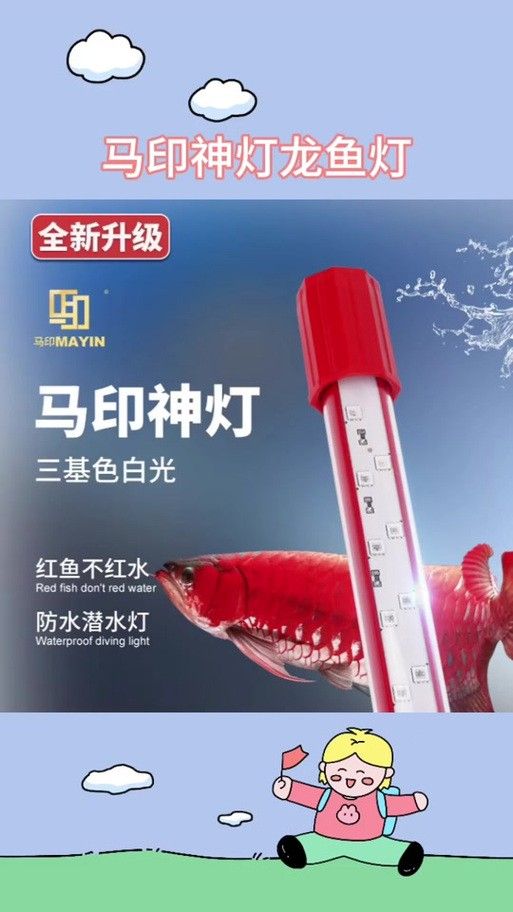 金龍魚夜燈需要定時開關嗎？（金龍魚夜燈是否需要定時開關）