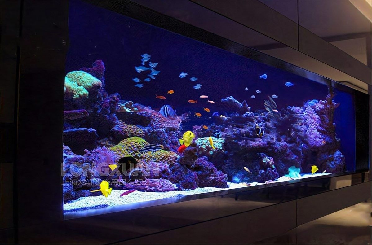如何安裝龍魚缸壁紙？（龍軒大型亞克力魚缸定制的魚缸背景紙如何安裝）