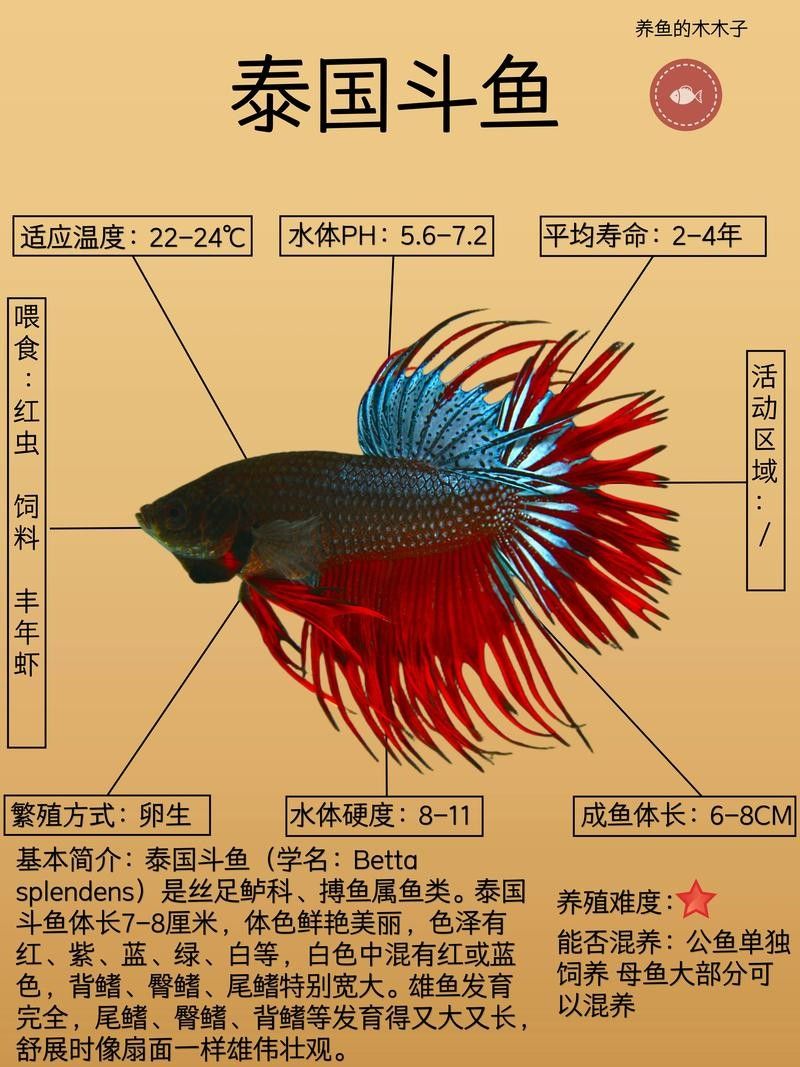 卿貿科技斗魚批發價格如何？（卿貿科技斗魚價格分析）