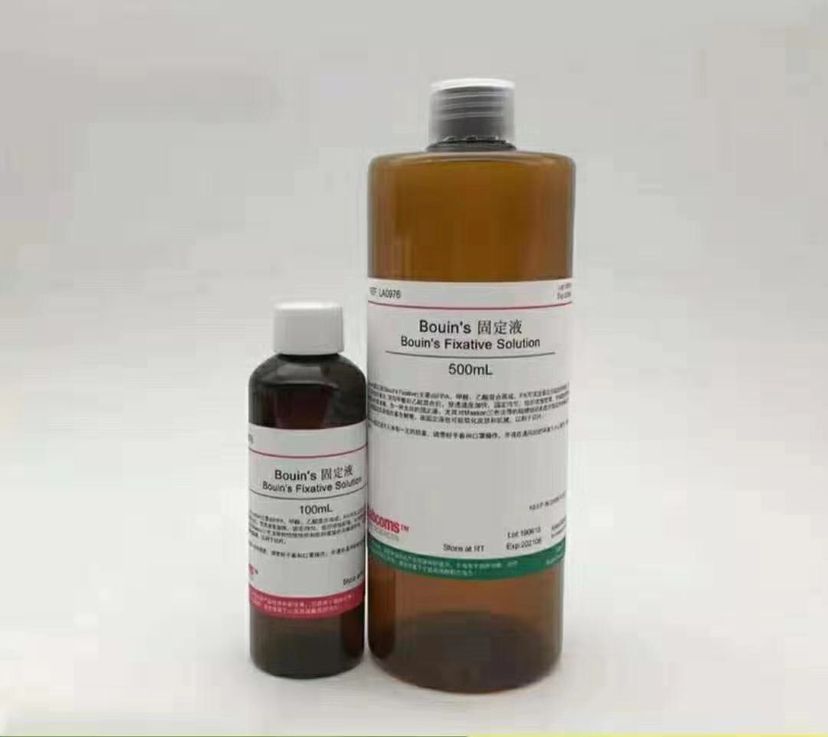 龍魚暴斃解剖全過程，中毒？寄生蟲？腸炎？（導致龍魚暴斃的原因有哪些？） 龍魚暴斃解剖全過程，中毒？寄生蟲？腸炎？（導致龍魚暴斃的原因有哪些？） 觀賞魚百科 第1張