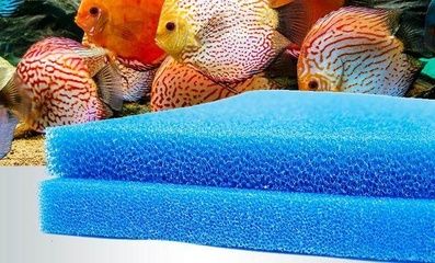 牛槽改魚缸擺在院子什么地方比較好呢（牛槽改魚缸擺在院子什么地方比較好呢視頻）（牛槽改魚缸擺在院子什么地方比較好）