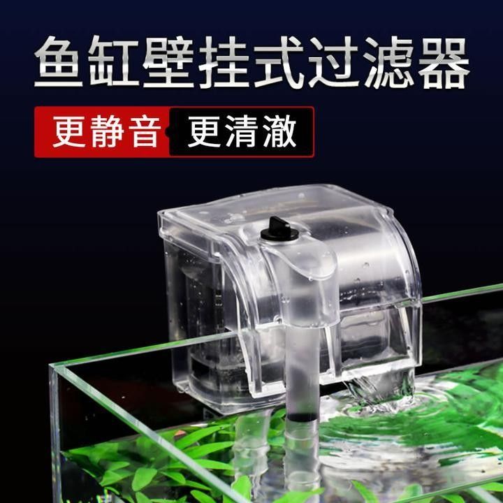 40方缸需要多大的過濾系統（40背濾缸開缸全攻略）