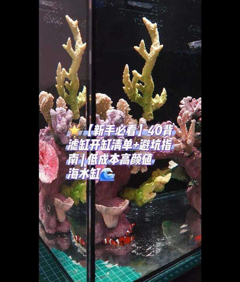 40方缸需要多大的過濾系統（40背濾缸開缸全攻略）