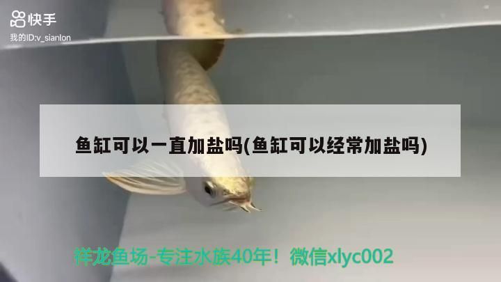 魚缸可以一直加鹽嗎(魚缸可以經常加鹽嗎)（祥龍魚場：魚缸可以一直加鹽嗎，魚缸可以一直加鹽嗎）