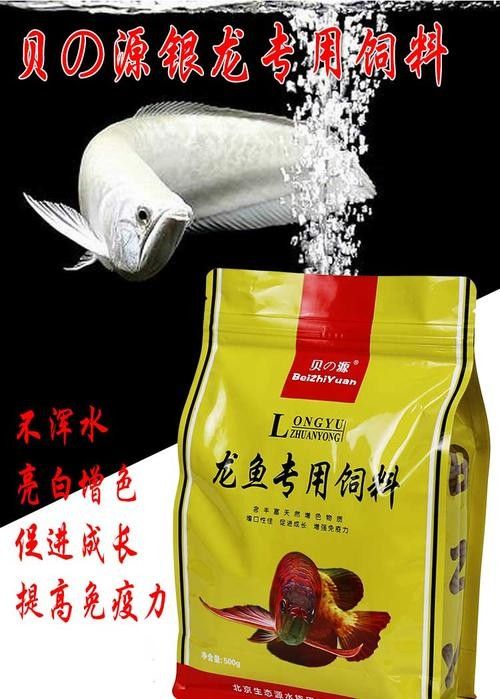 小店龍魚屬于什么檔次（小店龍魚大概多少錢一條易車網(wǎng)聽小店龍魚有哪些稀有品種）
