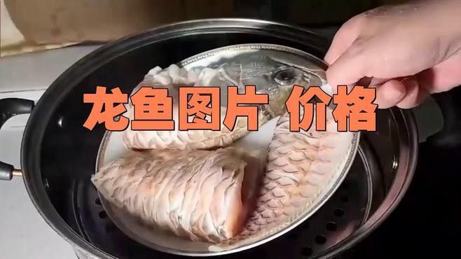 小店龍魚屬于什么檔次（小店龍魚大概多少錢一條易車網(wǎng)聽小店龍魚有哪些稀有品種）