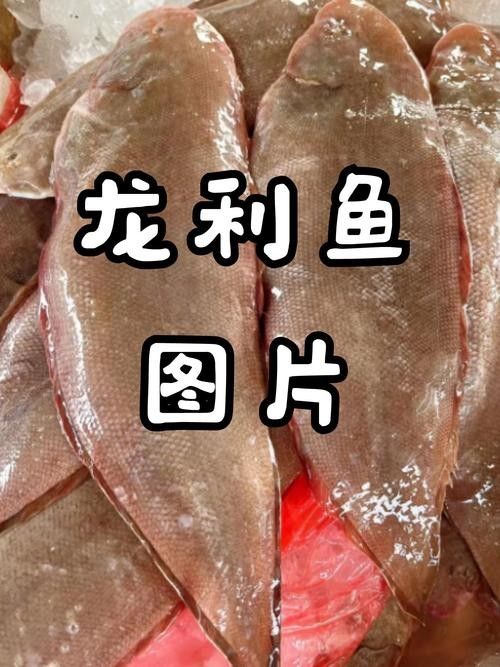 小店龍魚屬于什么檔次（小店龍魚大概多少錢一條易車網(wǎng)聽小店龍魚有哪些稀有品種）